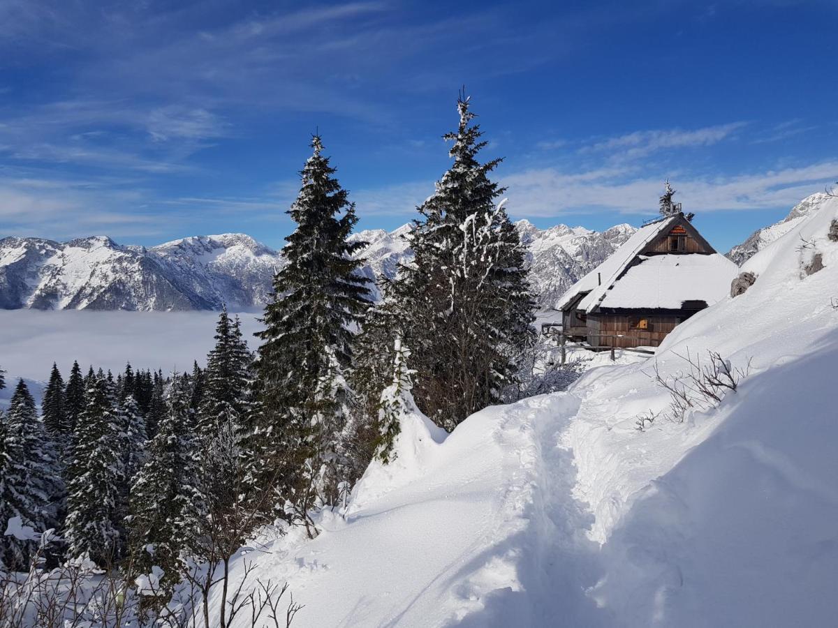 Chalet Gorenjka - Velika Planina Stahovica Exterior foto