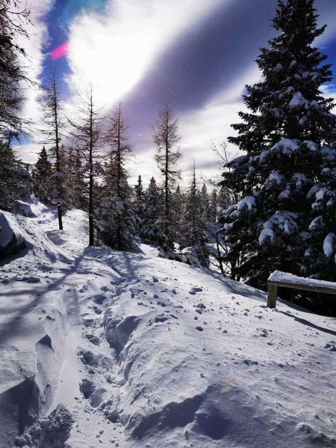 Chalet Gorenjka - Velika Planina Vila Stahovica Exterior foto