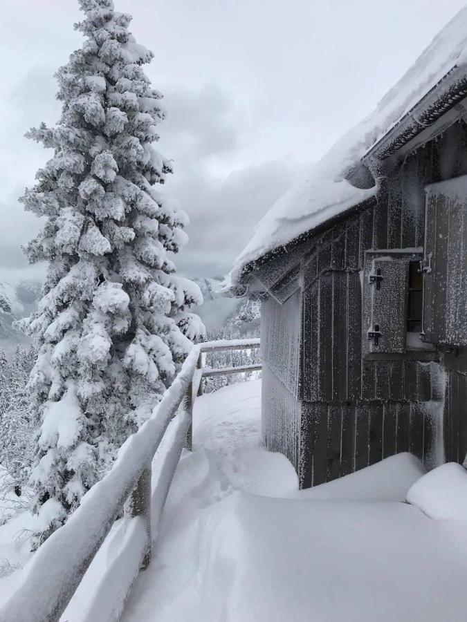 Chalet Gorenjka - Velika Planina Vila Stahovica Exterior foto