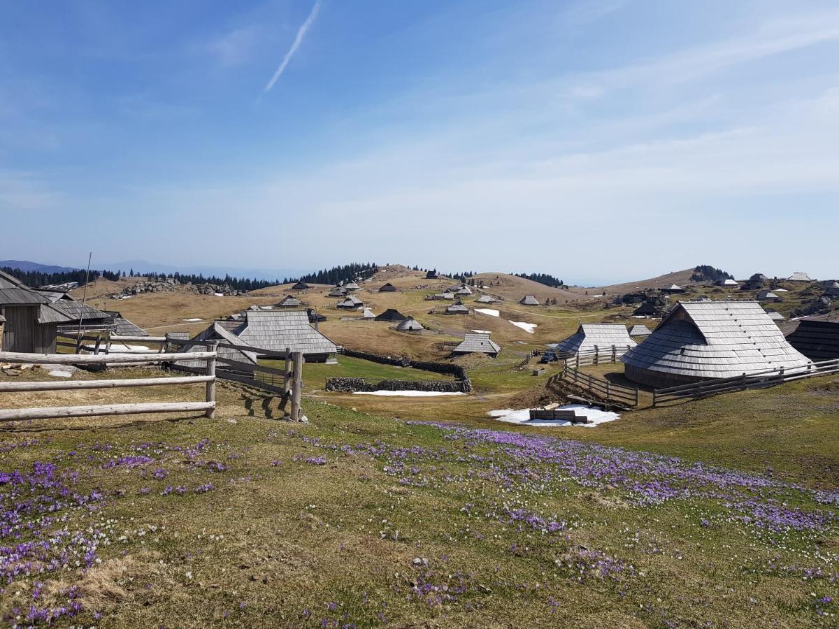 Chalet Gorenjka - Velika Planina Vila Stahovica Exterior foto